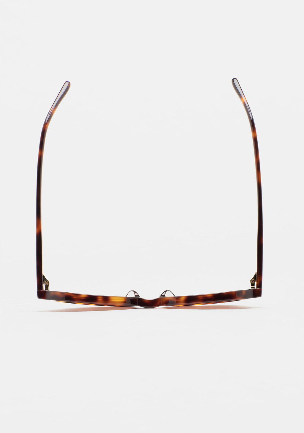 Lunettes Kaleos Bless havane portées, vue 3