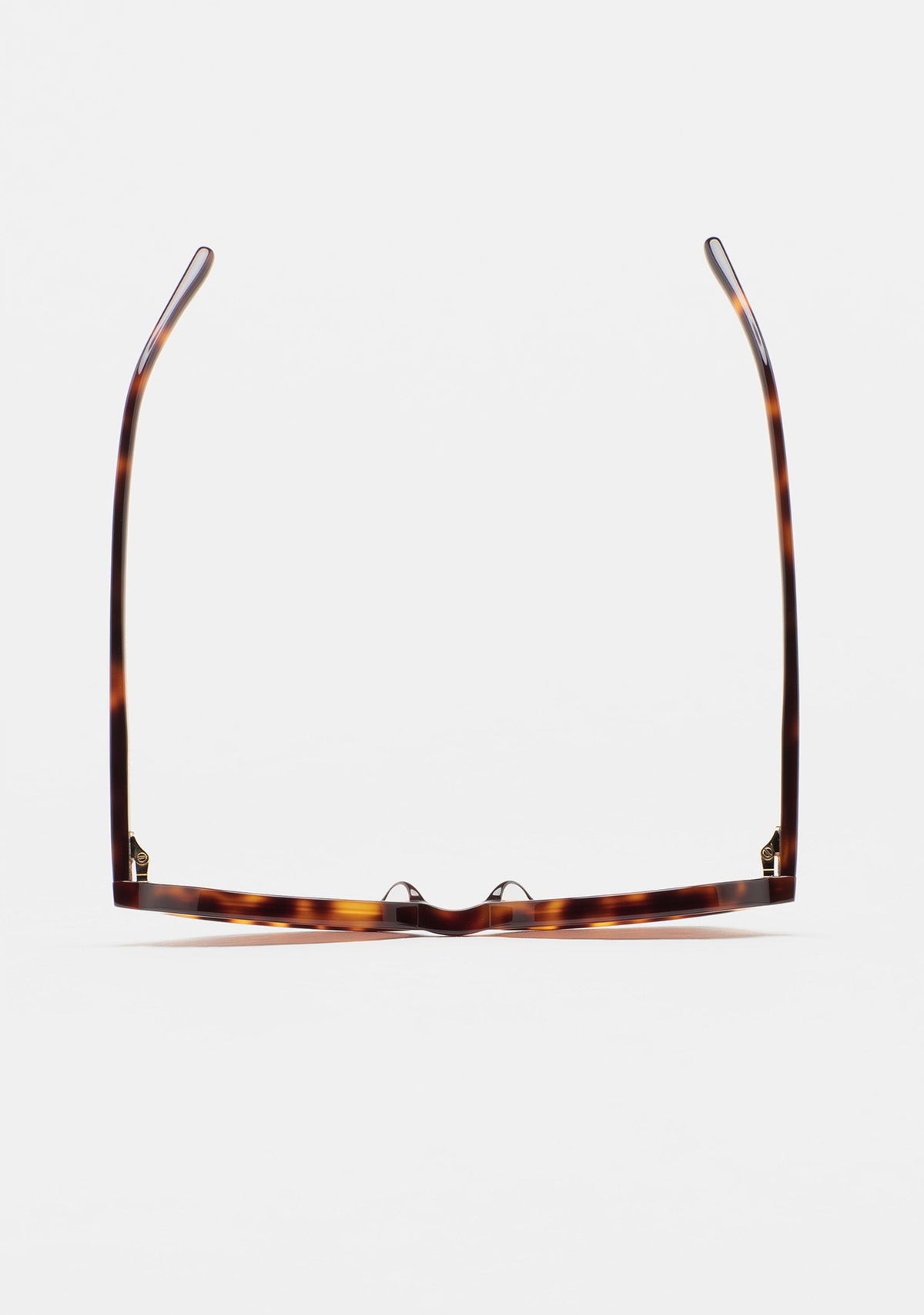 Lunettes Kaleos Bless havane portées, vue 3