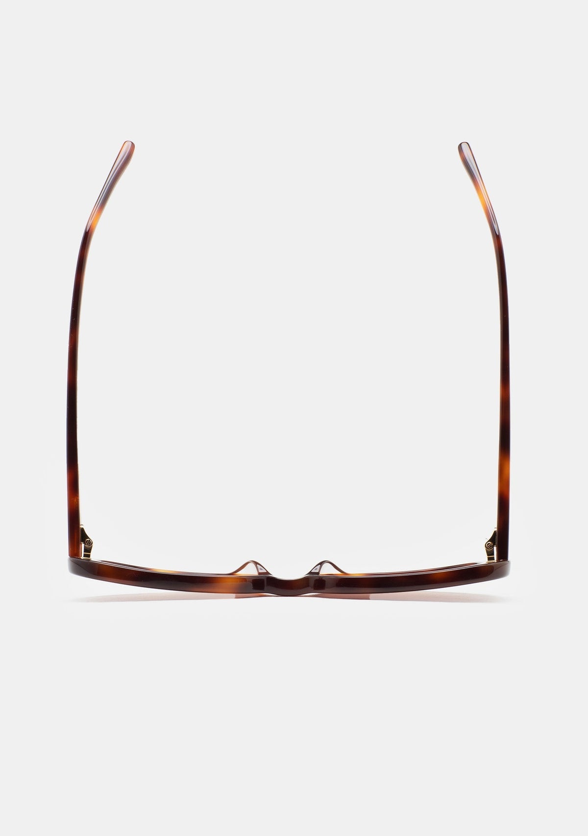Lunettes Kaleos Stirling havane portées, vue 3