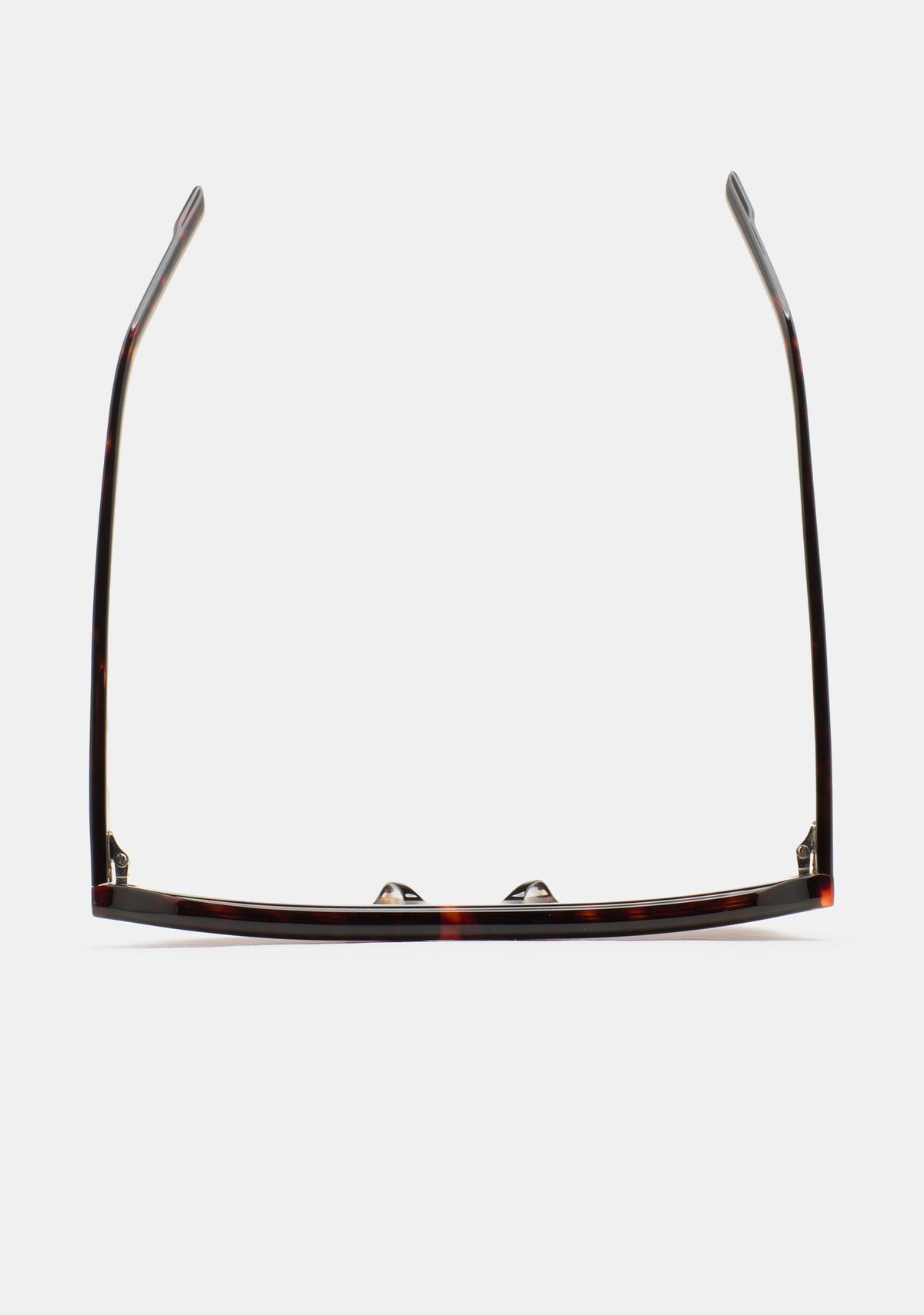 Lunettes Kaleos Crowne havane portées, vue 4
