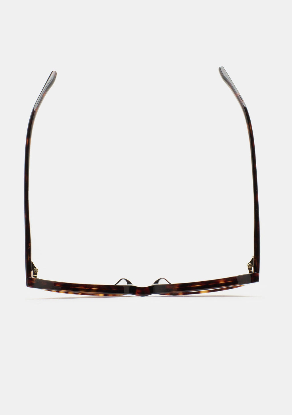 Lunettes Kaleos Summerspring havane portées, vue 3