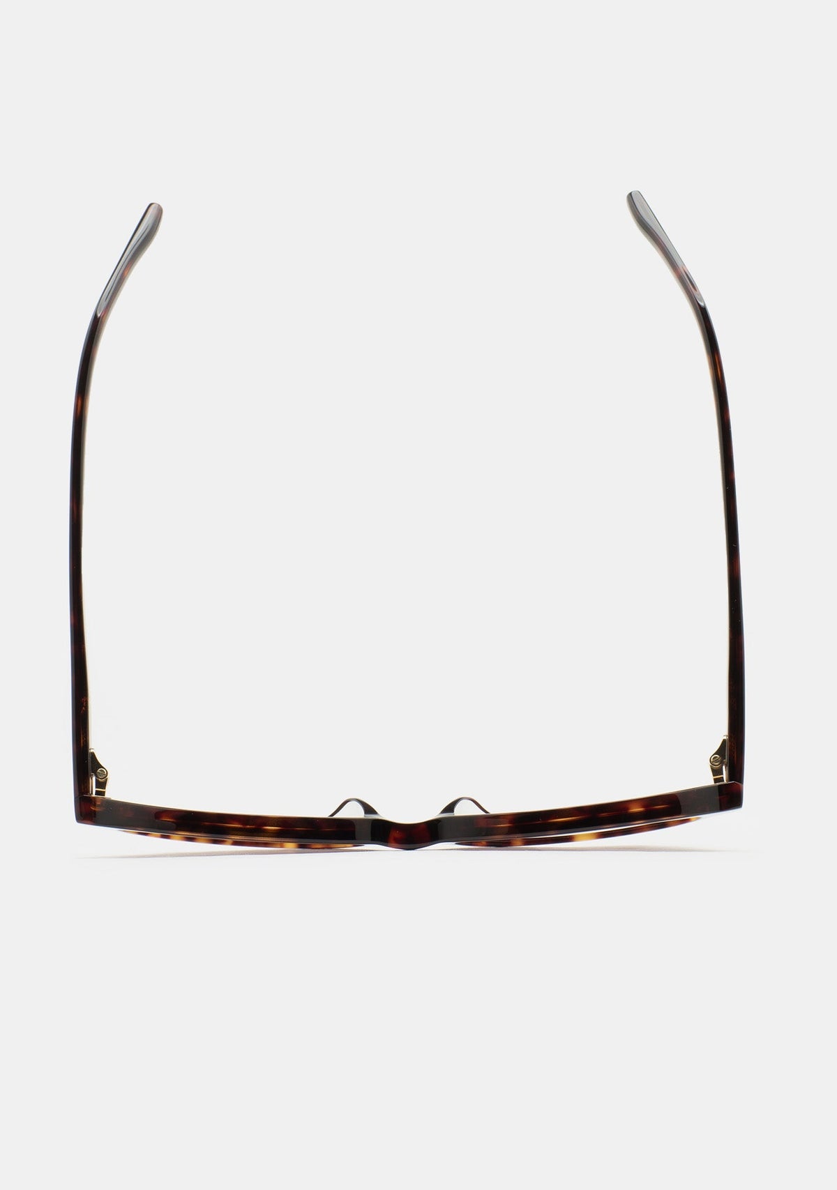 Lunettes Kaleos Summerspring havane portées, vue 3
