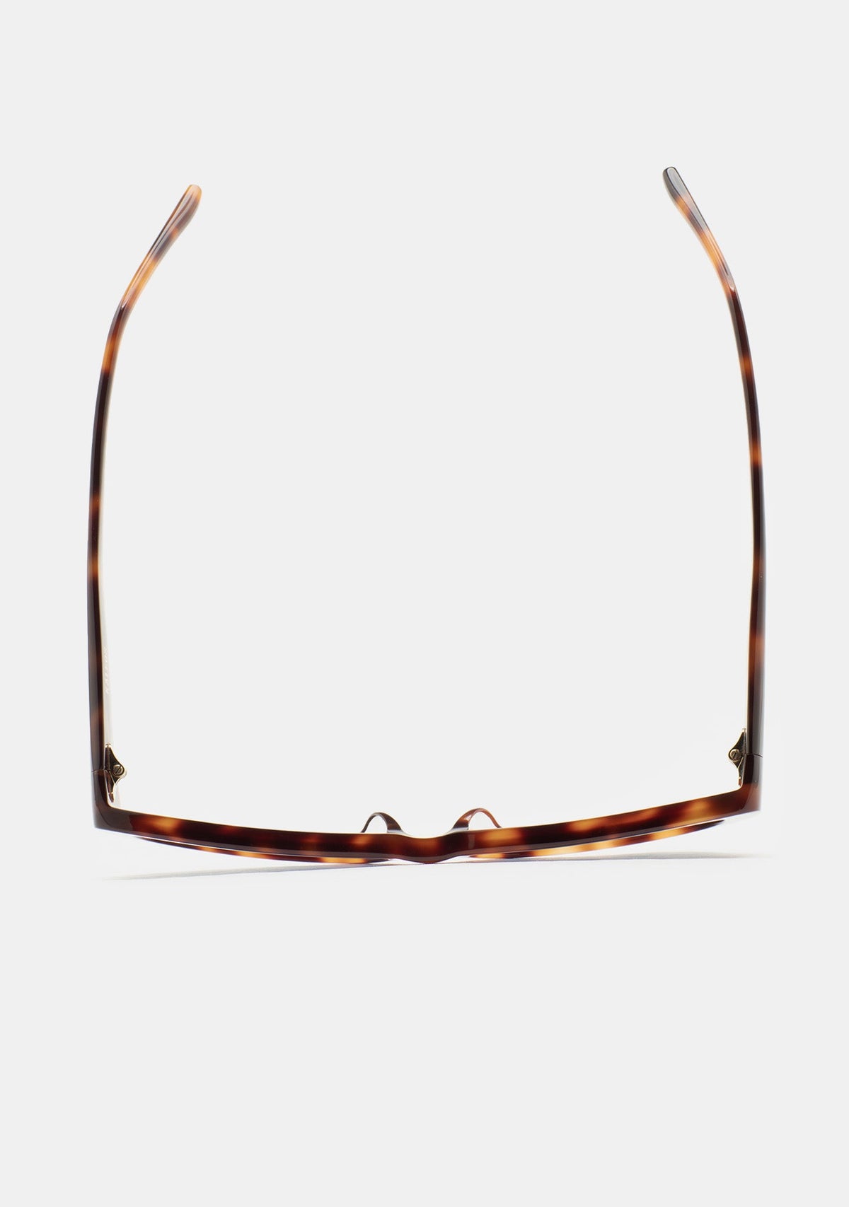Lunettes Kaleos Minx havane portées, vue 3