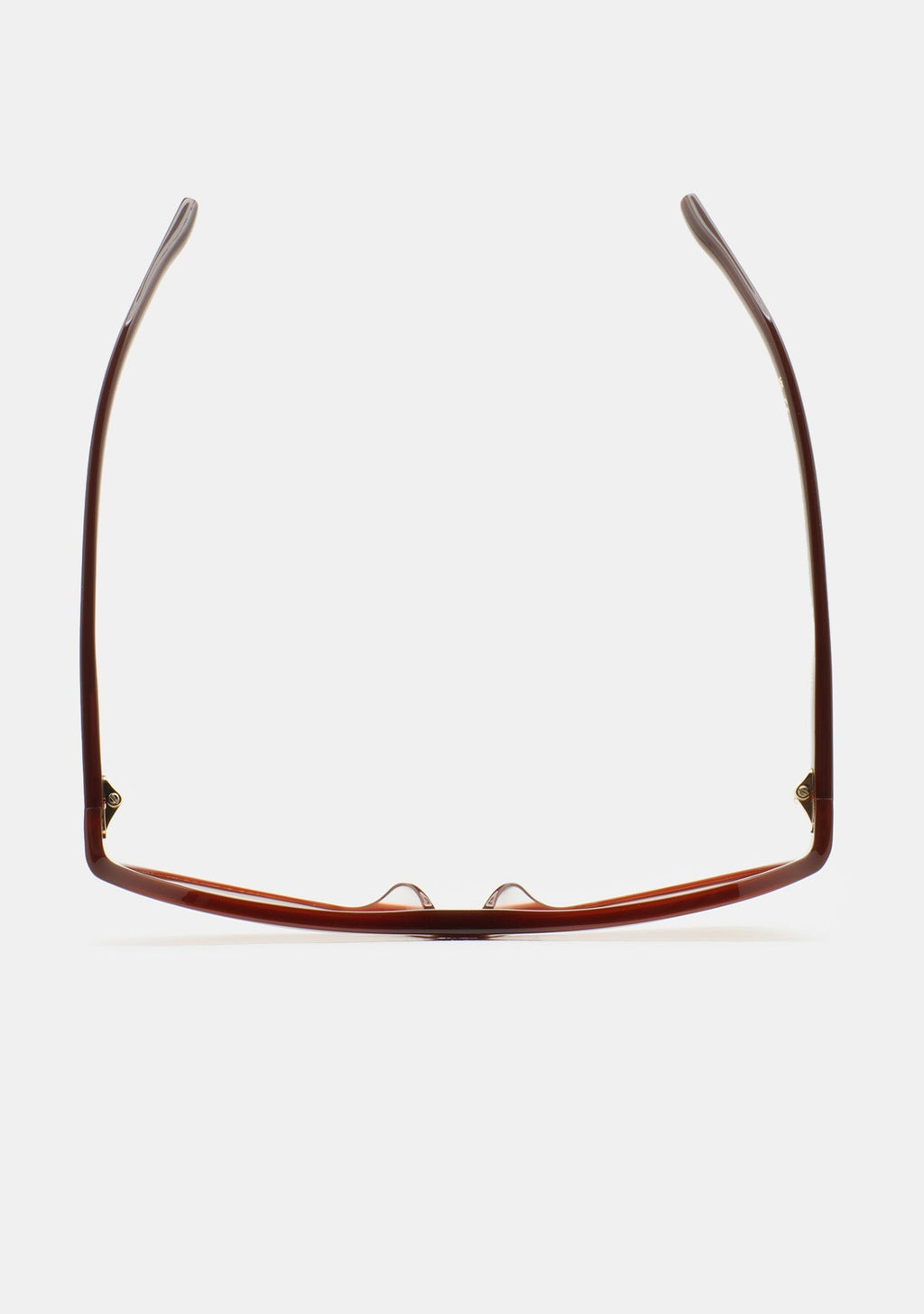 Lunettes Kaleos Withers brun translucide portées, vue 3
