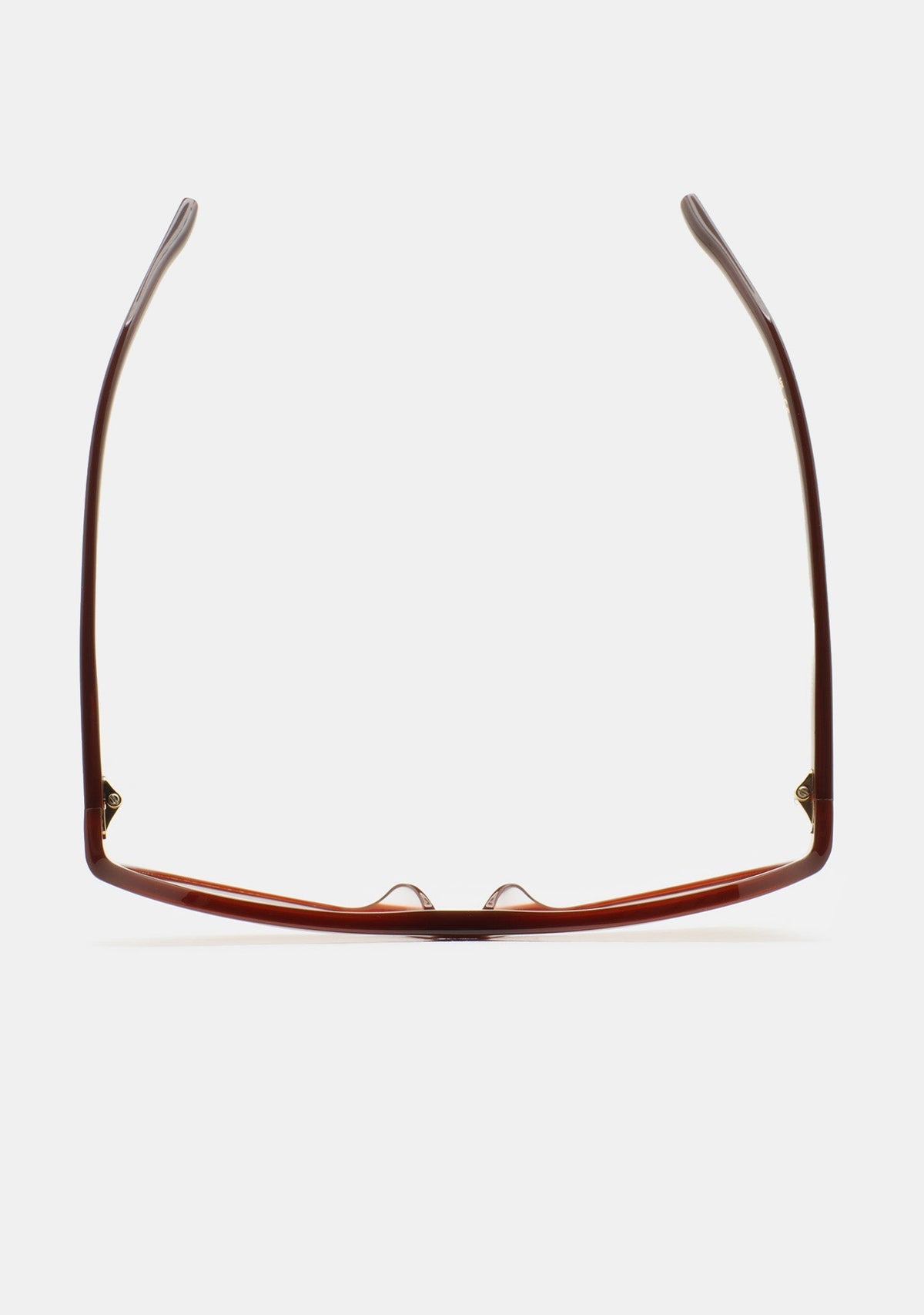 Lunettes Kaleos Withers brun translucide portées, vue 3