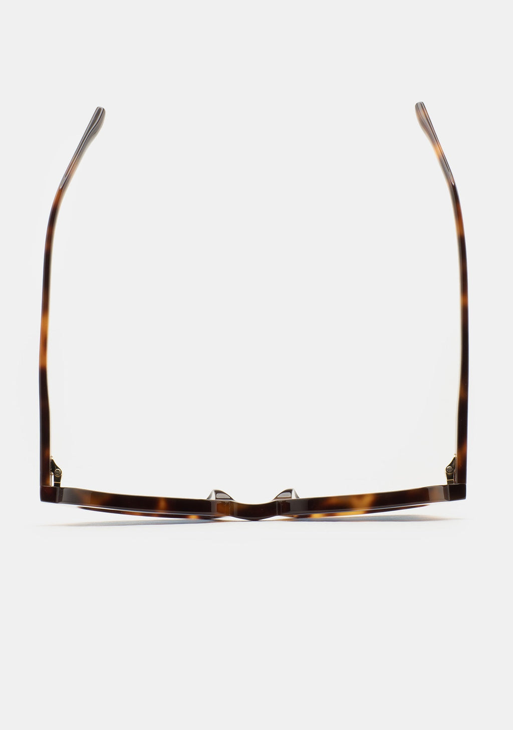 Lunettes Kaleos Lilly havane portées, vue 3