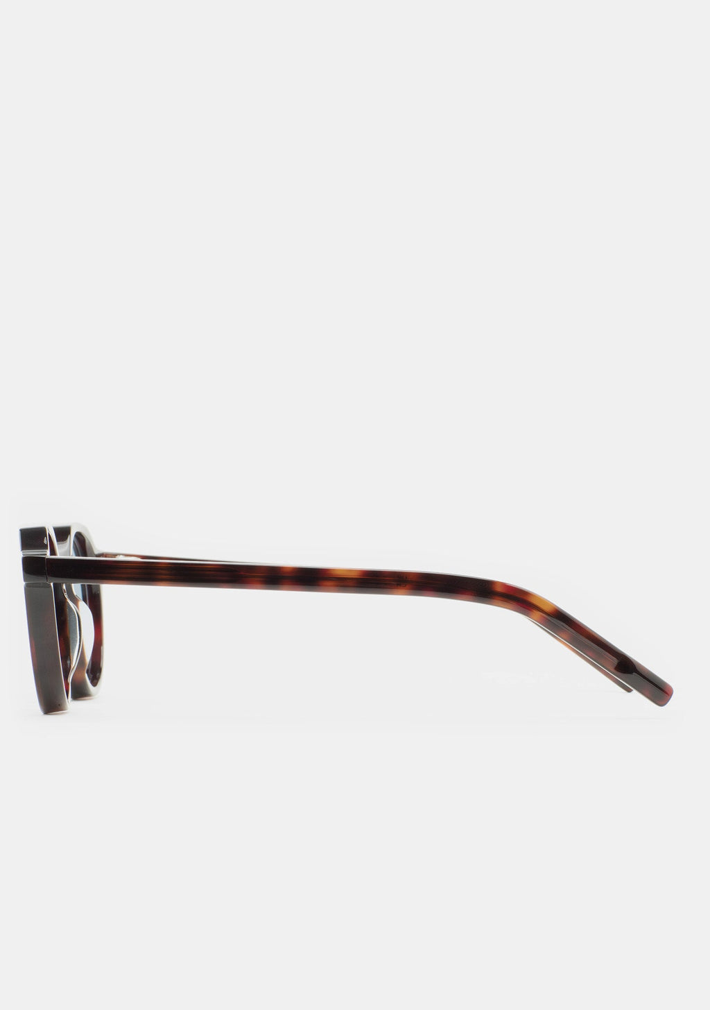 Branches en acétate havane des lunettes Kaleos Scott, vue 5