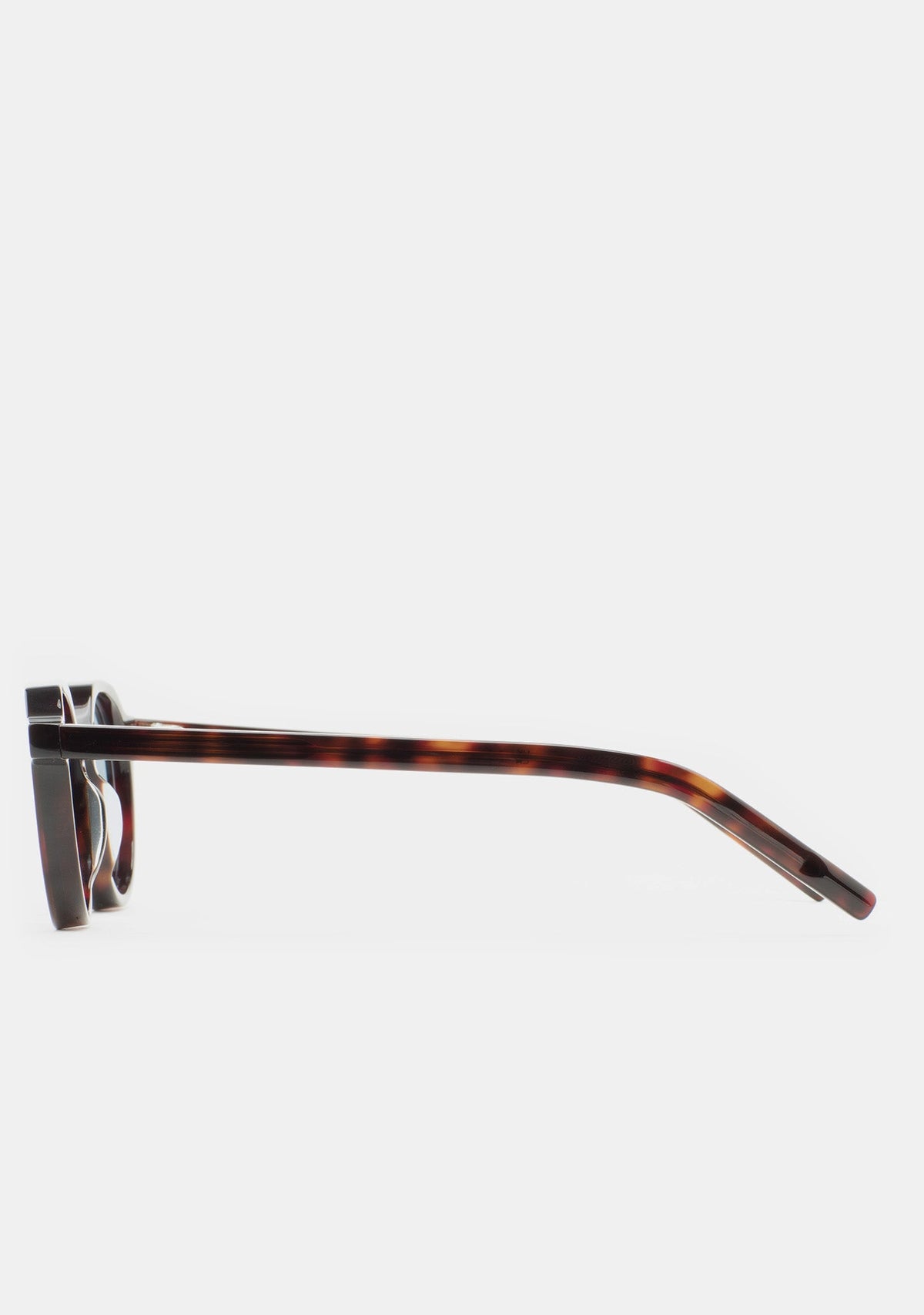 Branches en acétate havane des lunettes Kaleos Scott, vue 5