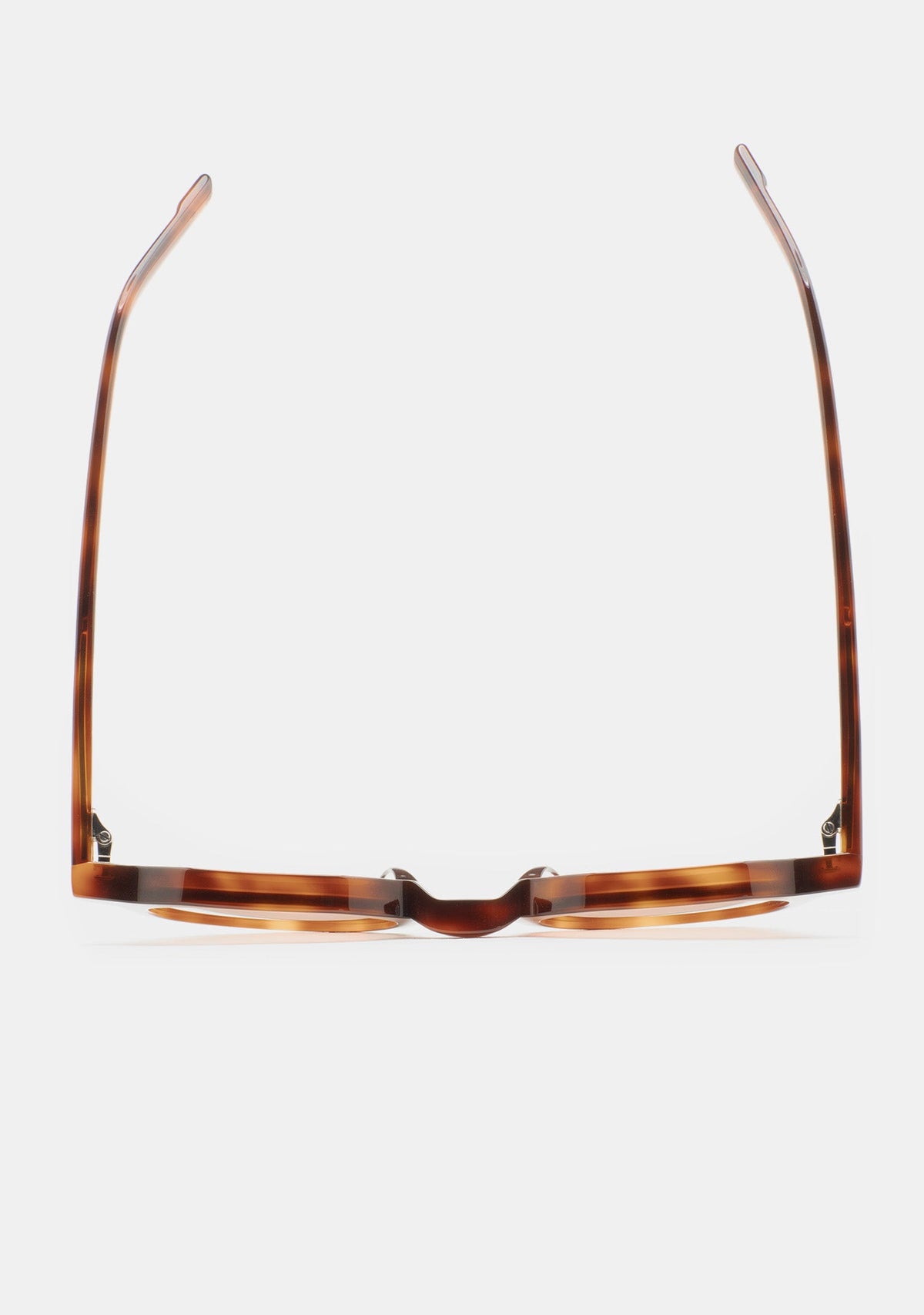 Lunettes Kaleos Scott havane portées, vue 4