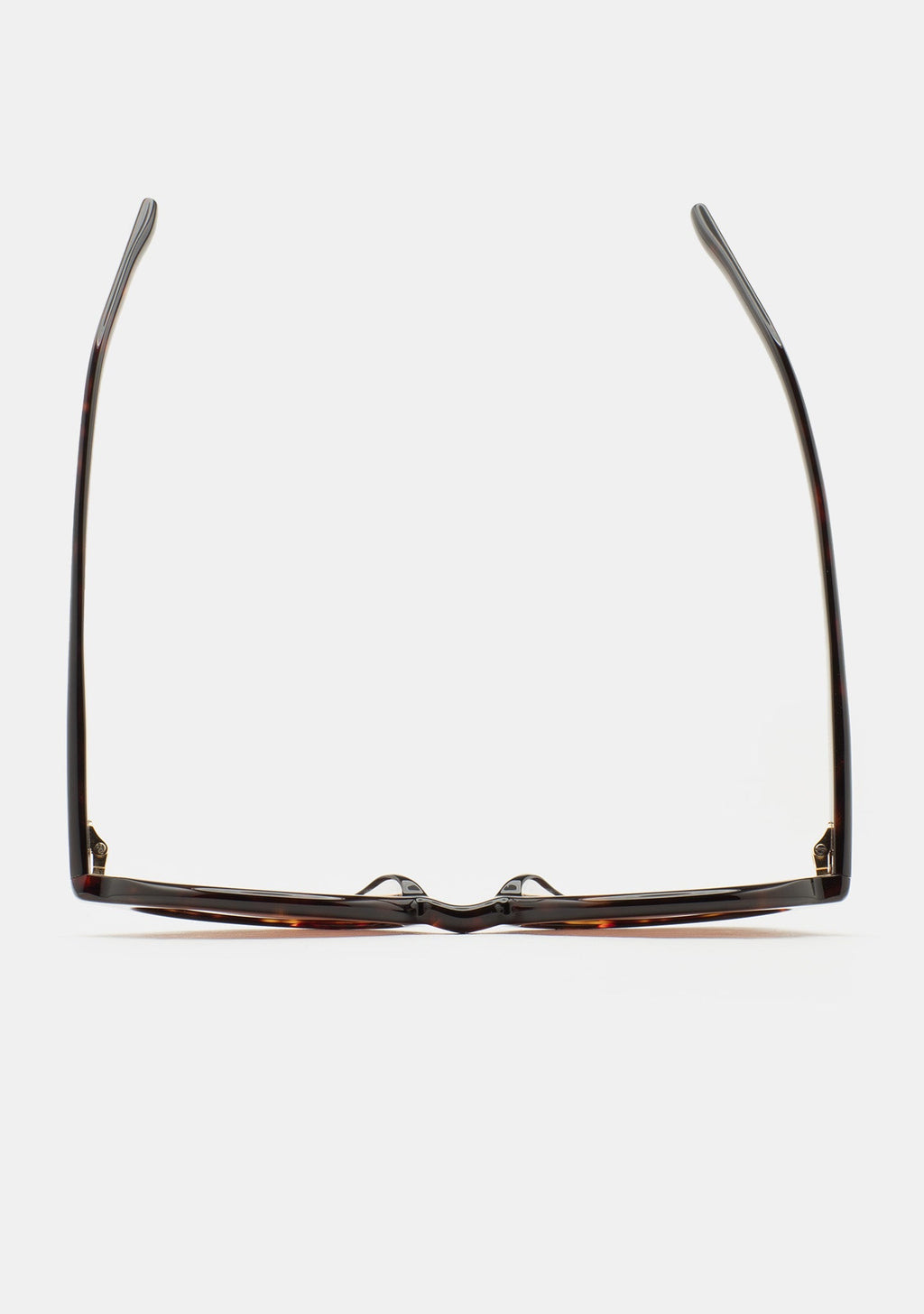 Lunettes de soleil Kaleos Ludwig coloris 02 havane, verres marron, vue 2