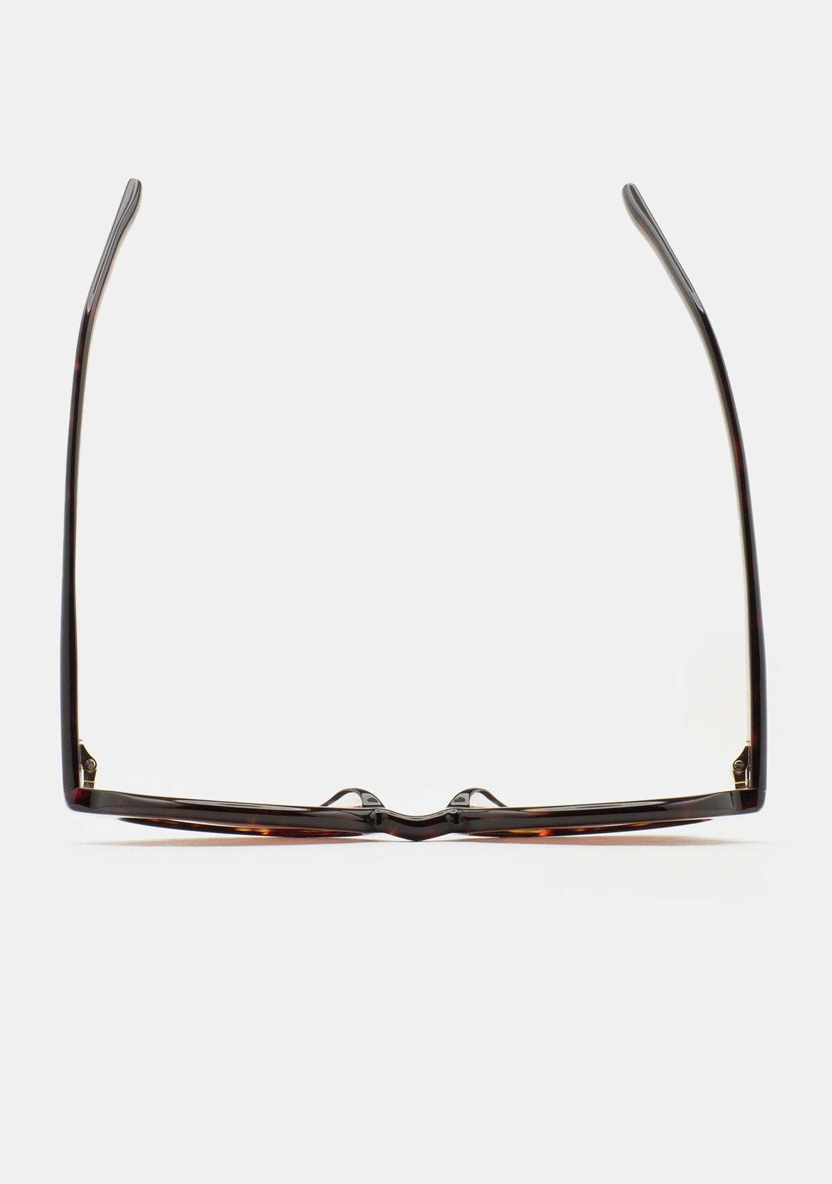 Lunettes de soleil Kaleos Ludwig coloris 02 havane, verres marron, vue 2